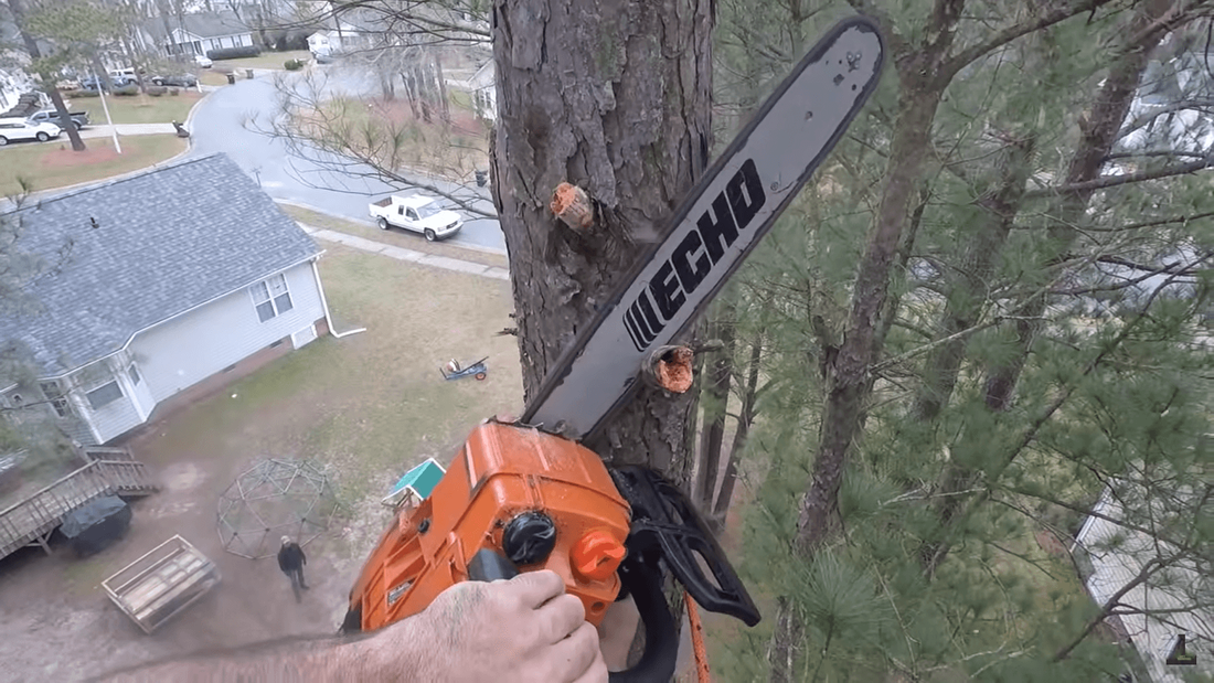Tree service man very high up in tree cutting branches with a chainsaw
